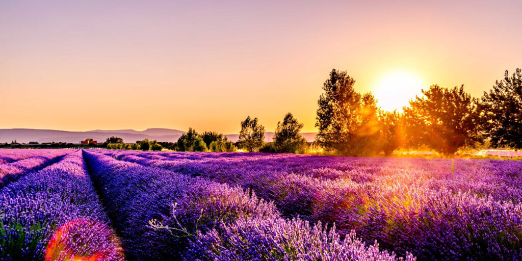 Contact Us Doctor Feelgood