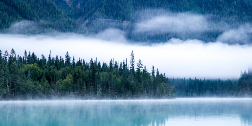 Massage Menu Doctor Feelgood